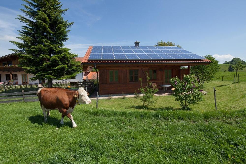 Ferienhaus Serafina リーデン エクステリア 写真